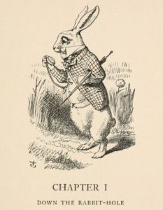 Alice rabbit