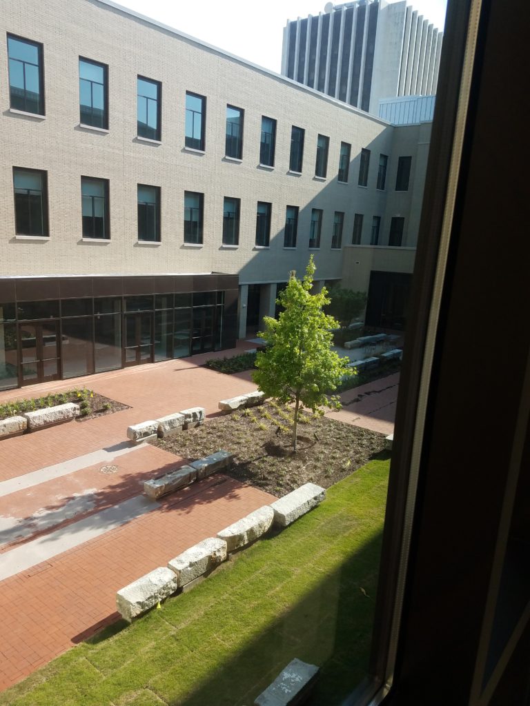 newly planted tree and grass, brick patio, stone benches